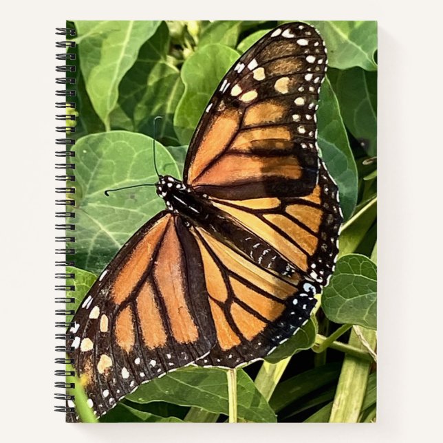 Carnet Papillon (Devant)