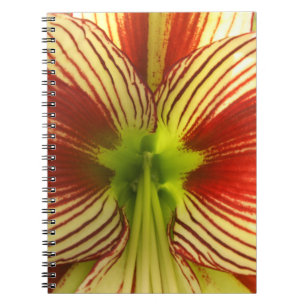 Carnet Papillon Amaryllis