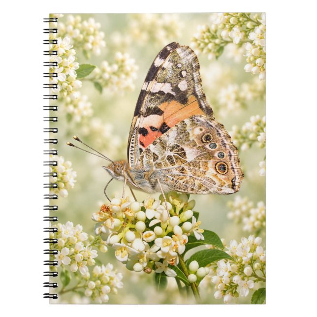 Carnet Papillon Belle Dame sur des fleurs blanches (Devant)