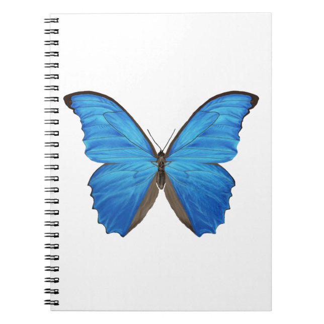 Carnet Papillon bleu de Morpho (Devant)