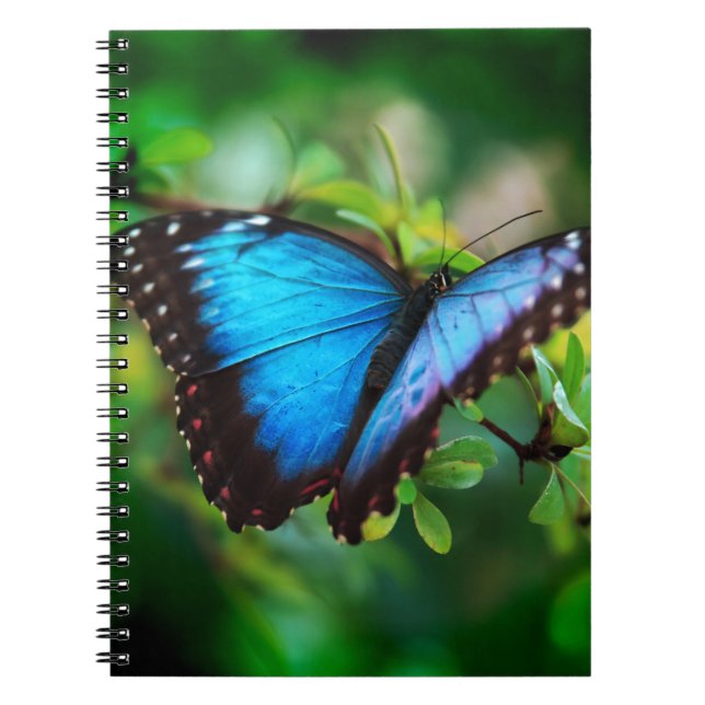 Carnet Papillon bleu de Morpho (Devant)