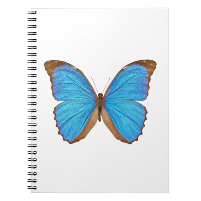 Carnet Papillon bleu de Morpho (Menelaus Morpho bleu, (Devant)