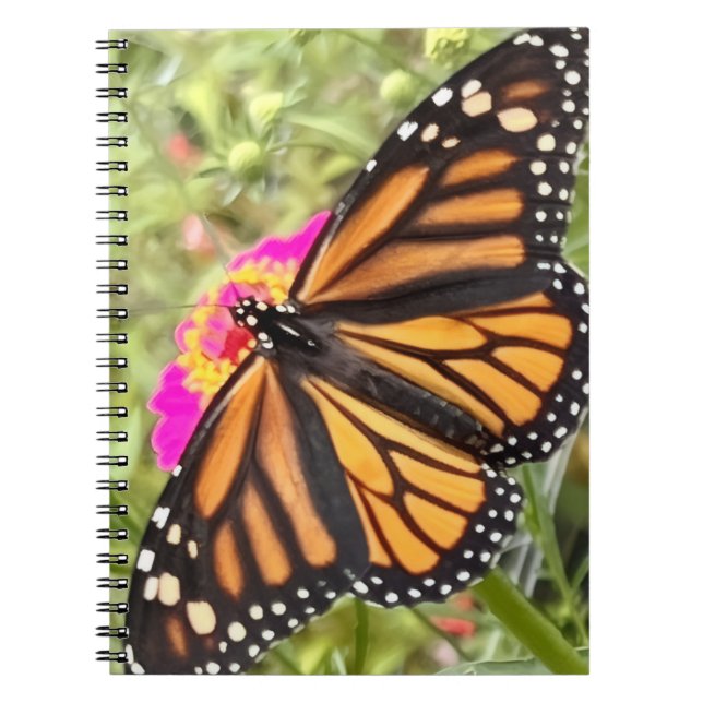 Carnet Papillon coloré (Devant)