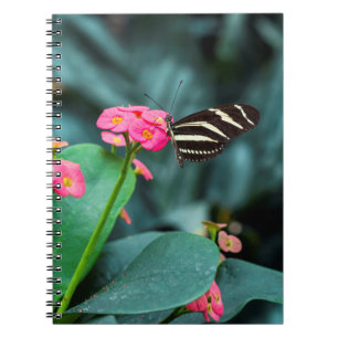 Carnet papillon coloré dans le jardin