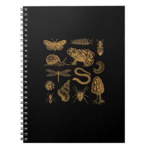 Carnet Papillon de grenouille champignon vintage amoureux