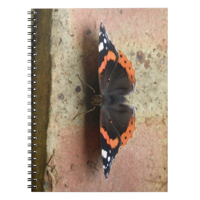Carnet papillon de l'amiral rouge (Devant)