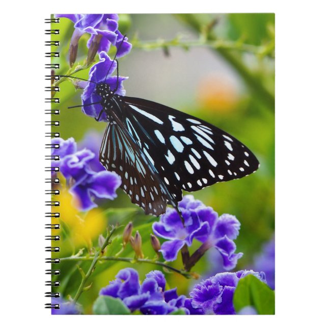 Carnet papillon de tigre bleu (Devant)