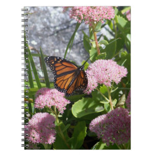 Carnet Papillon d'été