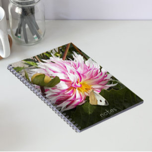 Carnet Papillon du chou sur dahlia floral rose