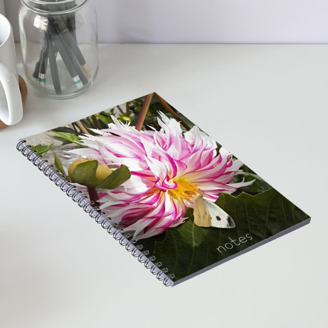 Carnet Papillon du chou sur dahlia floral rose (In Situ)