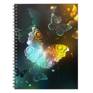 Carnet Papillon lumineux et papillons de nuit
