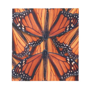 carnet papillon monarque