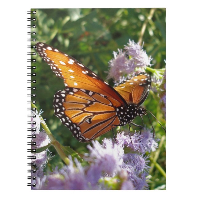 Carnet Papillon Monarque Photo Fleur violette Nature (Devant)