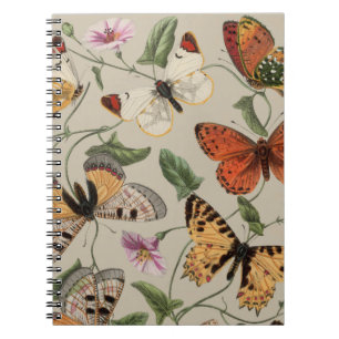 Carnet Papillon Moth Nature Dessin aquarelle antique