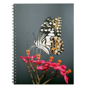 Carnet Papillon noir et jaune blanc sur Fleurs roses
