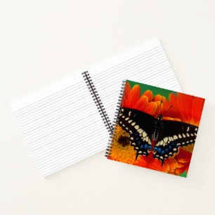 Carnet Papillon noir porte-queue sur une marguerite de Ge