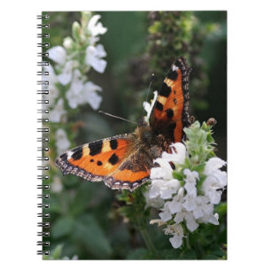 Carnet Papillon orange et fleurs blanches