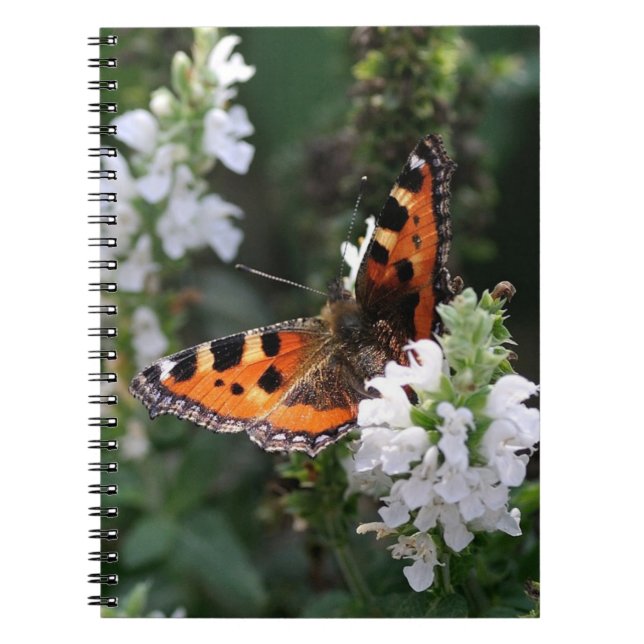 Carnet Papillon orange et fleurs blanches (Devant)
