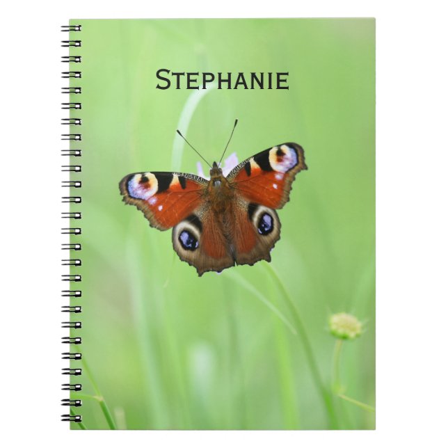 Carnet Papillon paon (Devant)