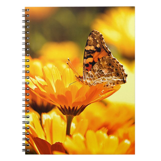 Carnet Papillon sur fleur (Devant)