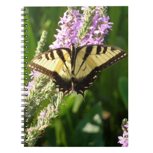 Carnet Papillon Swallowtail sur Fleurs sauvages pourpres (Devant)