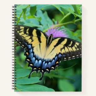 Carnet Papillon swallowtail tigre de l'est