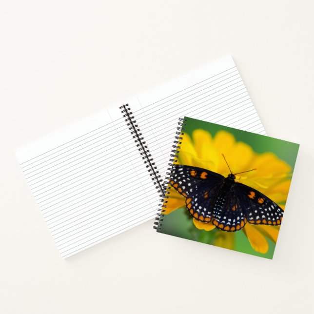 Carnet Papillon tacheté de Baltimore (Intérieur)
