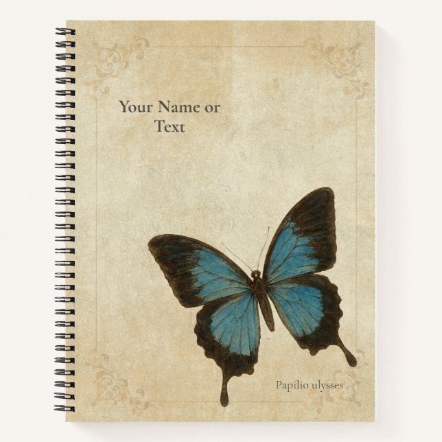 Carnet Papillon Ulysse Bleu Électrique (Devant)