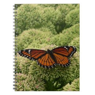 Carnet Papillon Viceroy Belle photographie de la nature