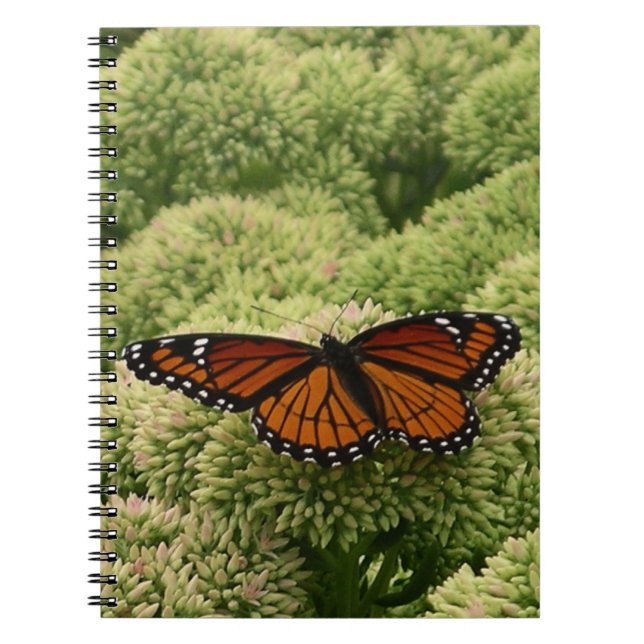 Carnet Papillon Viceroy Belle photographie de la nature (Devant)