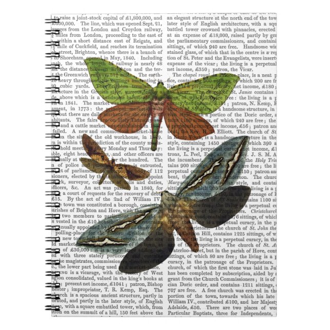 Carnet Papillons 4 (Devant)