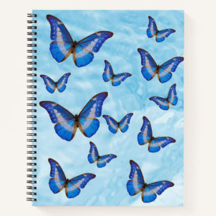 Carnet Papillons bleus