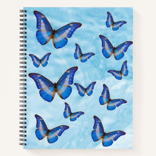 Carnet Papillons bleus (Devant)