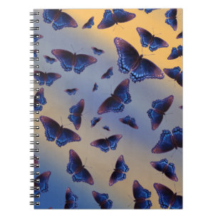 Carnet Papillons Bleus Lever de Soleil