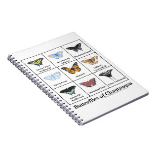 Carnet Papillons de Chautauqua
