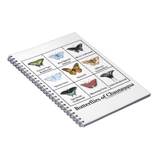 Carnet Papillons de Chautauqua