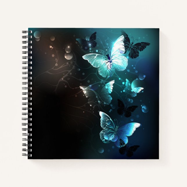 Carnet Papillons de nuit (Devant)