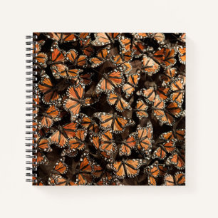 Carnet Papillons Monarque
