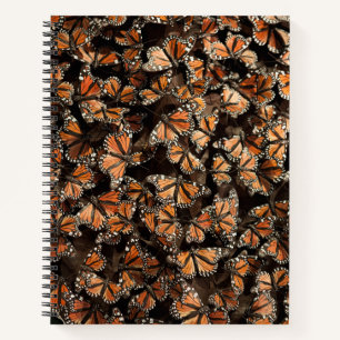 Carnet Papillons Monarque