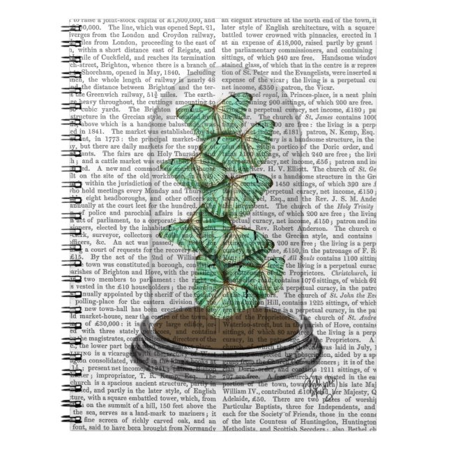 Carnet Papillons verts dans Bell Jar 2 (Devant)
