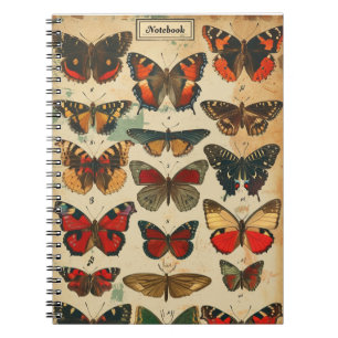 Carnet Papillons Vintages