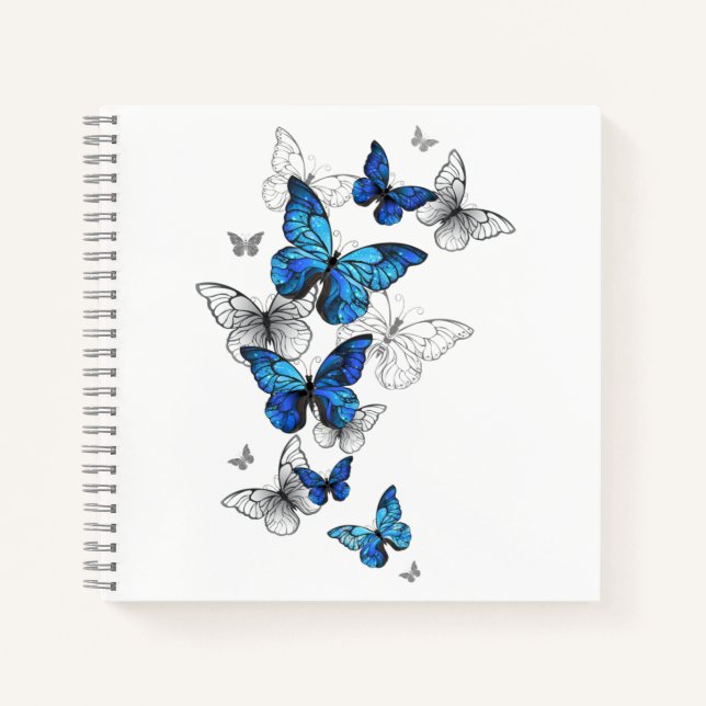 Carnet Papillons volants bleus Morpho (Devant)