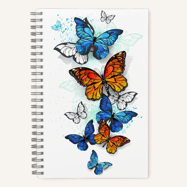 Carnet Papillons volants Morpho et Monarch (Recto)