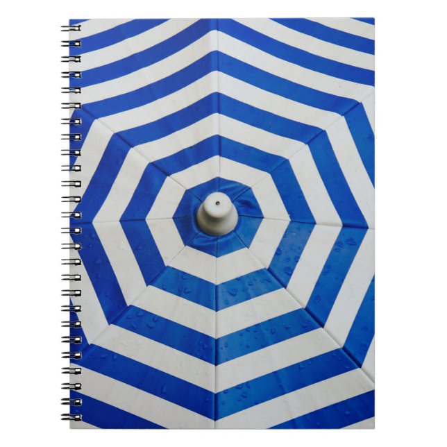 Carnet Parapluie rayé ouvert (Devant)