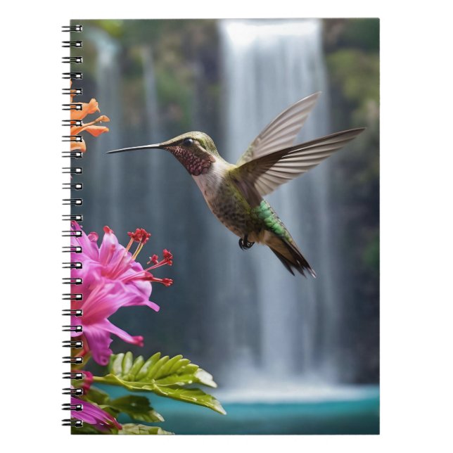 Carnet Parc de la cascade des colibris (Devant)