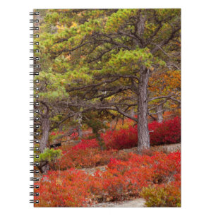 Carnet Parc national d'Acadia, Maine