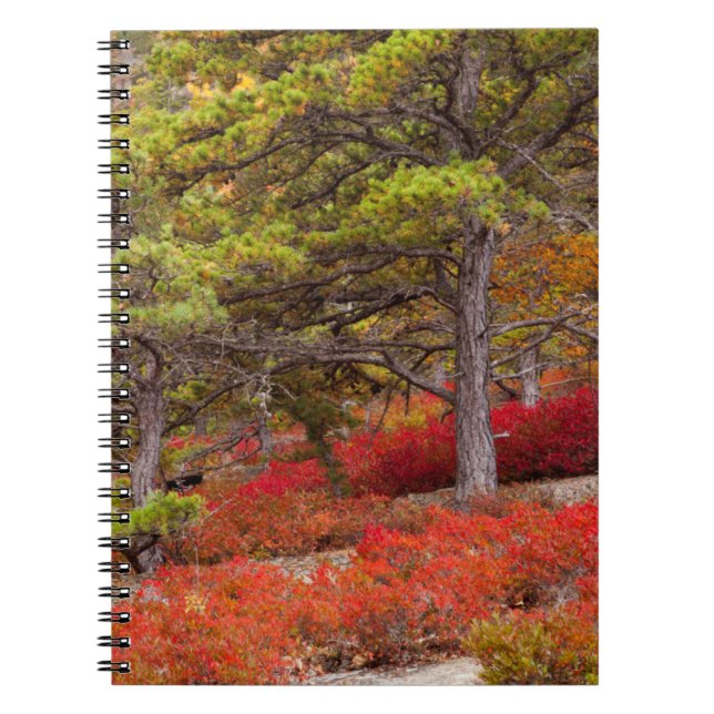 Carnet Parc national d'Acadia, Maine (Devant)