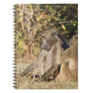 Carnet Parc national de Kruger, Afrique du Sud