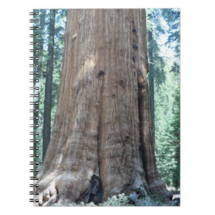 Carnet Parc national de Sequoia