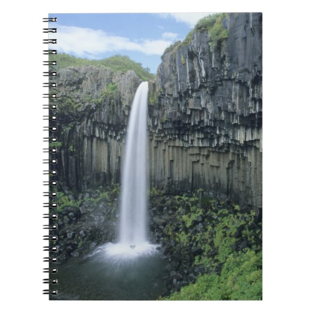Carnet Parc national de Skaftafell, cascade de Svartifoss (Devant)